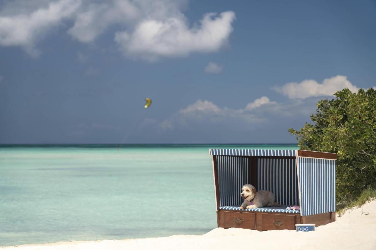 The Ritz-Carlton, Aruba Ξενοδοχείο Παλμ Μπιτς Εξωτερικό φωτογραφία